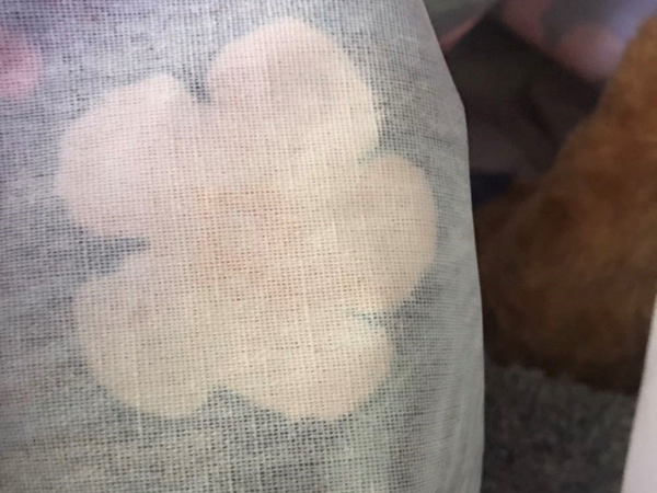 粘必牢化工為家居布藝類(lèi)客戶(hù)提供膠水應(yīng)用方案